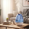 Esperanza Humidifier Cool Spring  35l (EHA003) (ESPEHA003)-ESPEHA003